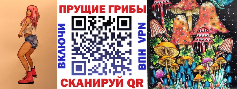 гидра как войти  Кандалакша  Галлюциногенные грибы мицелий 