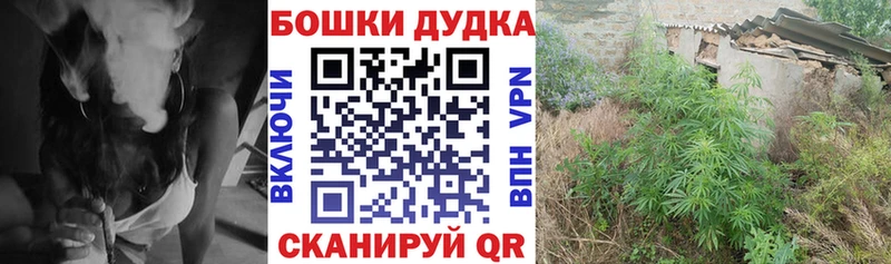 кракен как войти  Кандалакша  Конопля ГИДРОПОН 